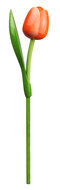 Grote tulp op steel - 34 cm - oranje wit