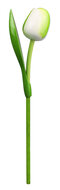 Grote tulp op steel - 34 cm - wit groen