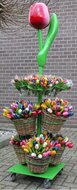 Reuzen houten decoratie tulp - 180 cm - rood aubergine