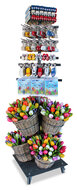 Combi display souvenirs,bliste, tulips