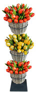Tulpen winkel wanddisplay met 3 ringen