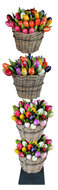 Tulpen winkel wanddisplay met 4 ringen