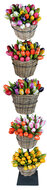 Tulpen winkel wanddisplay met 5 ringen