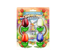 Blister 4 kleine tulp magneten - Amsterdam - 6 cm