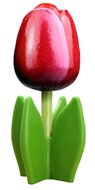 Grote tulp op blad - 14 cm - rood wit