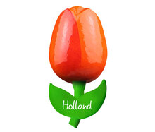 Kleine tulp magneet - 6 cm - oranje rood - Holland