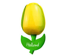 Kleine tulp magneet - geel groen - Holland - 6 cm