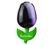 Kleine tulp magneet - aubergine wit - Amsterdam - 6 cm