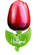 Grote tulp magneet - 9 cm - rood wit - Holland