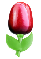 Grote tulp magneet - 9 cm - rood wit