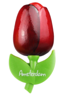 Grote tulp magneet - 9 cm - rood aubergine - Amsterdam