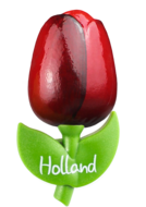 Grote tulp magneet - 9 cm - rood aubergine - Holland