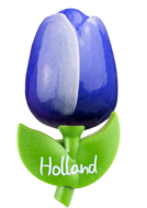 Grote tulp magneet - 9 cm - blauw wit -Holland