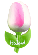 Grote tulp magneet - 9 cm - wit roze - Holland