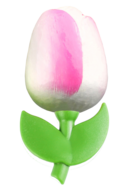 Grote tulp magneet - 9 cm - wit roze