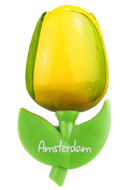 Grote tulp magneet - geel groen - Amsterdam - 9 cm