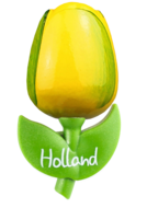 Grote tulp magneet - geel groen - Holland - 9 cm