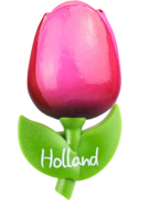 Grote tulp magneet - roze rood - Holland - 9 cm