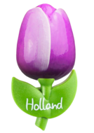 Grote tulp magneet - paars wit - Holland - 9 cm