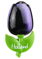 Grote tulp magneet - aubergine wit - Holland - 9 cm