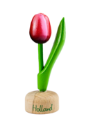 Kleine tulp op voet - 8 cm - rood wit - Holland