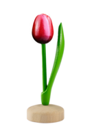 Grote tulp op voet - 20 cm - rood wit