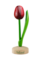 Grote tulp op voet - 20 cm - rood aubergine - Holland