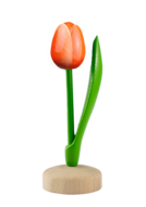 Grote tulp op voet - 20 cm - oranje wit