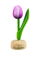 Kleine tulp op voet - 8 cm - paars wit - Amsterdam