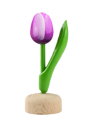 Kleine tulp op voet - 8 cm - paars wit