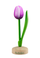 Grote tulp op voet - 20 cm - paars wit - Amsterdam