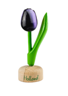 Kleine tulp op voet - 8 cm - aubergine wit - Holland