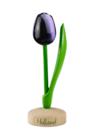 Grote tulp op voet - 20 cm - aubergine wit - Holland
